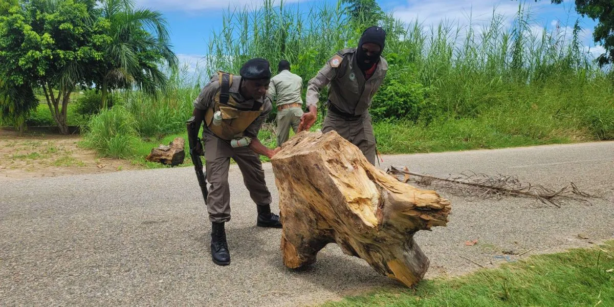 UIR Dispara Gás Lacrimogéneo em Zalala: População Não Recua na Defesa dos Curandeiros Detidos